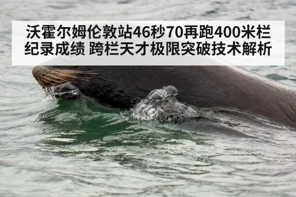 沃霍尔姆伦敦站46秒70再跑400米栏纪录成绩 跨栏天才极限突破技术解析