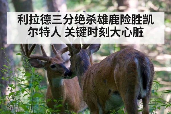 利拉德三分绝杀雄鹿险胜凯尔特人 关键时刻大心脏